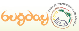 Buğday Logo